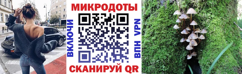 Галлюциногенные грибы мухоморы Кирсанов