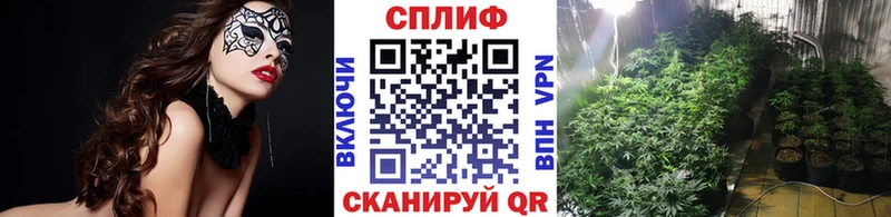 Конопля MAZAR  hydra онион  Кирсанов 